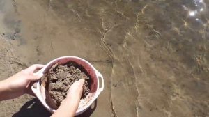 Рыбалка на Мокше 2021 .Ловля на фидер на течении на Мокше. Ловля на фидер