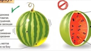 КАК ПРАВИЛЬНО выбирать фрукты и ягоды