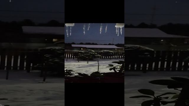 приехали мы сейчас на дачу в Подмосковье. А тут сказочка! Лёг снег. Волшебно! ноябрь 2022