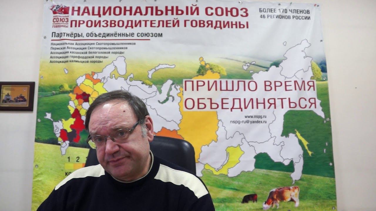 Выбор пород в мясном скотоводстве: Французские породы КРС