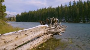 4K Autumn Relaxation on the Banks of Wenatchee River and Lake Wenatchee - Harmony of Nature Sounds