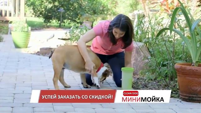Clean Dog   инновация для мытья лап вашего питомца