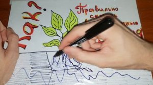 Как правильно сажать аквариумные растения, аквариумные растения