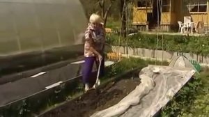 Огород без хлопот.