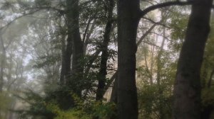 Этот Мир Придуман Не Нами - Мир Глазами Друзей - Relax Music Video