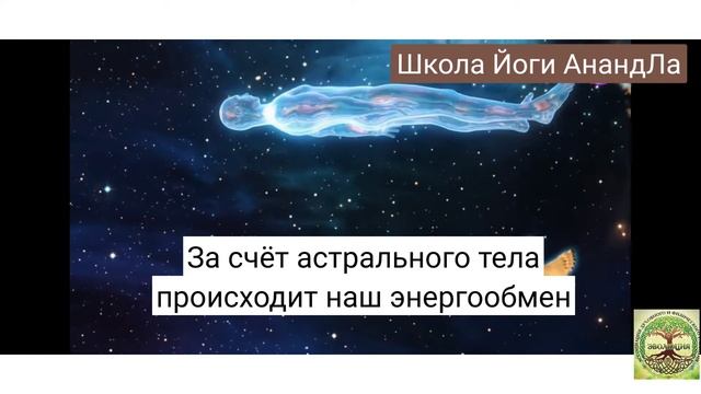 Философия Йоги. Биополе человека - 7 тел.