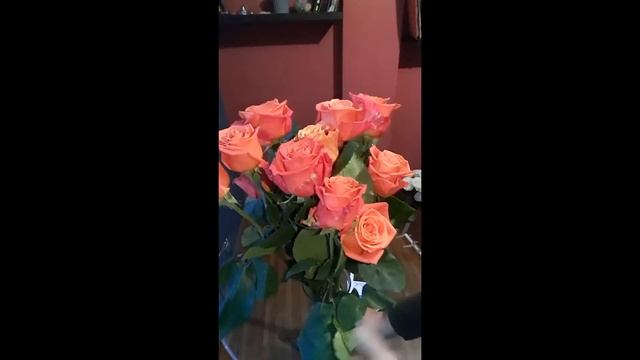 Роза Декора (Decora) Эквадорский сорт Обзор смотреть онлайн