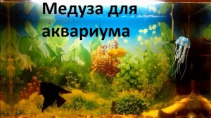 Плавающая медуза для аквариума