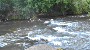 велопрогулка 1 августа, и до переката доехали.mp4