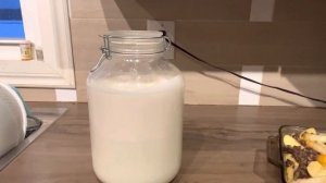 Джерси Рыбка - уровень сливок в молоке. Сколько сливок в молоке от Джерси? Много!