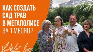 КАК СОЗДАТЬ САД ТРАВ В МЕГАПОЛИСЕ ЗА 1 МЕСЯЦ ?