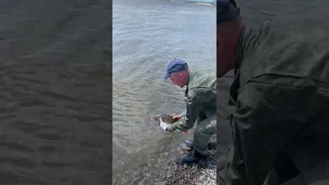 18 июня 2023 г. Река Амур 🎣