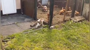 Бит + Видео А ну-ка Давай-ка
