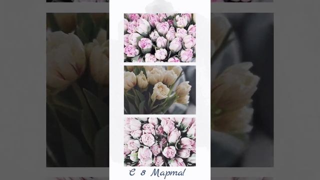 С 8 Марта? С Праздником! #8марта #женскийдень #международныйженскийдень #музыкальнаяоткрытка #short смотреть онлайн