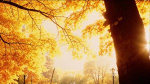 Доброго дня - Пусть сегодня к тебе приходят только светлые и продуктивные мысли в голову