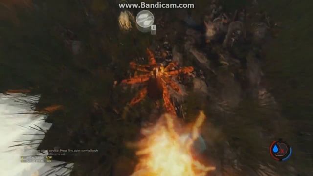 The Forest:девушка людоед? смотреть онлайн