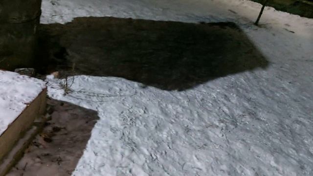 ЛисЯша, Дуся и заячьи уши смотреть онлайн