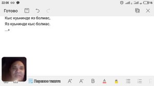 Ногайдын казак йыры