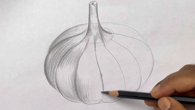 How to draw a garlic || Pencil shading for beginners смотреть онлайн