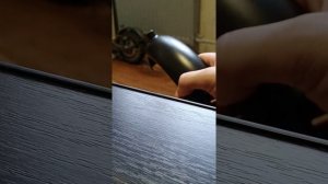 Крыло самоката с поддержкой.