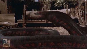 Что будет если вас ПРОГЛОТИТ ГИГАНТСКАЯ АНАКОНДА?