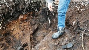 Нашли клад в поле без металлоискателя