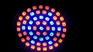 Дешёвая Фитолампа для растений.