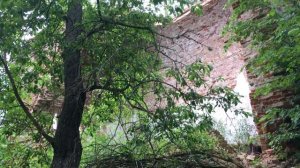 Церковь Троицы Живоначальной в Александровой пустыни