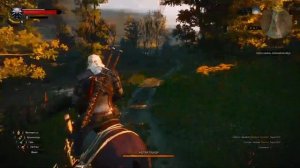 ПРОХОЖДЕНИЕ WITCHER 3 : WILD HUNT | NEXT - GEN #7