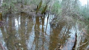 Восход-3М на бездорожье