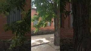 Кирилловка, база  Кристалл
