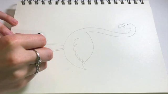 Easy to Draw Cartoon Flamingo смотреть онлайн