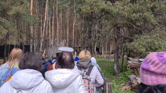Графский поезд Воронеж Рамонь парк НЕЛЖА.РУ #РЕТРО_ПОЕЗД Путешествие на Ретро Поезде #Графский_поез