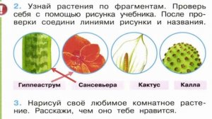 Окружающий мир. Рабочая тетрадь 1 класс 1 часть. ГДЗ стр. 12 №2