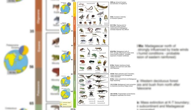 The history of Madagascar. Madagascar documentary. World Of Knowledge