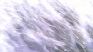 Река Моча у д. Наумово. Разведка дна на месте зимнего пляжа