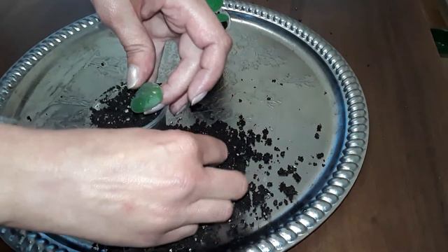 ФИАЛКИ. ВИДЕО 3 в 1. Спасение фиалки, перевалка, отделение детки от материнского листа.