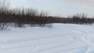 Тофалар 500. Самодельный лыжный модуль. Испытания