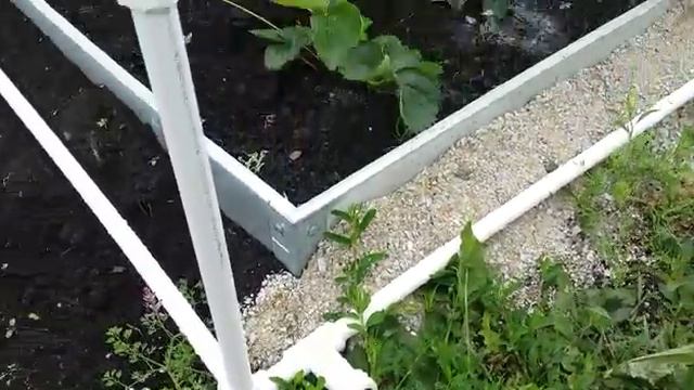 Тепличка самополивалка смотреть онлайн