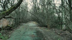 Сталкер топ релакс фм  музыка  Подпишись не пропускай новинки #stalker  #релакс