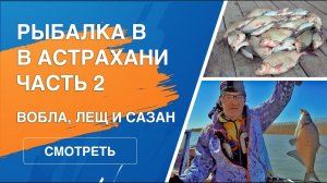 Ловля воблы, леща и сазана | Рыбалка в Астрахани 2023
