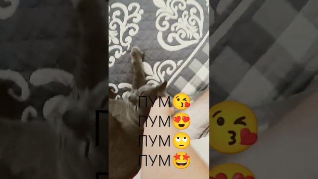 #Я УМЕЮ ЛЕТАТЬ БОЖЕ #НЕ ЛАЙКАТЬ А ТО СЪЕМ!# смотреть онлайн