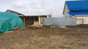 САО. Среднеазиатская овчарка Алабай Пермь Юми.