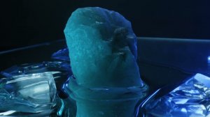 ДО42 Басова Макросъёмка