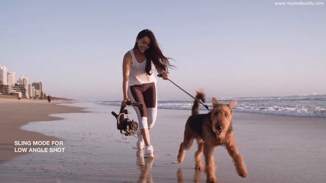 Top 10 Best Gimbal 2020 | For DSLR & Mirrorless Camera | My Deal Buddy смотреть онлайн