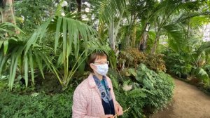 Ботанический сад Петра Великого 2021 окт