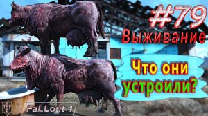 Что они устроили? Fallout 4. #79. Прохождение. Выживание. Русская озвучка.