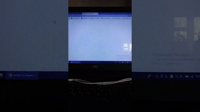 Ссылка на канал в яндекс дзен смотреть онлайн