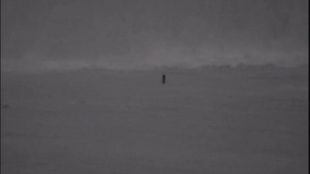 волк нападает на кабана и рысь пришла на вабу волка смотреть онлайн