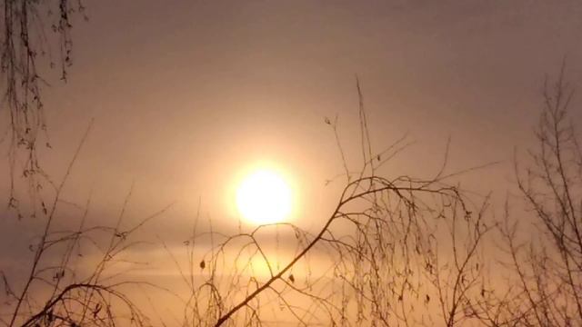 солнце покидает сегодняшний день волшебник не подвёл... 10.01.22 год. смотреть онлайн